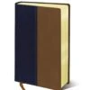 NIV & KJV Side-By-Side Bible/Large Print-Navy/Tan Duo-Tone