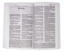 Amplified Holy Bible (Revised)-Softcover -Book Store 203 0006 2