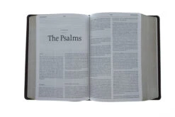 ESV Reformation Study Bible-Brown Premium Leather -Book Store 204 0011 3