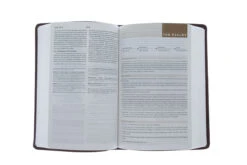 ESV Student Study Bible -Trutone, Chestnut Imitation Leather 9 ESV Student Study Bible -Trutone, Chestnut Imitation Leather -Book Store 204 0044 3