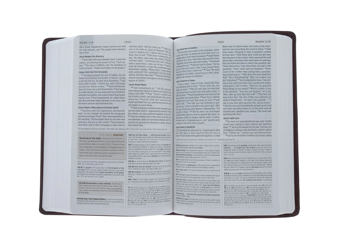 ESV Student Study Bible -Trutone, Chestnut Imitation Leather 6 ESV Student Study Bible -Trutone, Chestnut Imitation Leather - Image 6