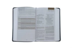 ESV Student Study Bible-Gray TruTone Imitation Leather -Book Store 204 0116 4