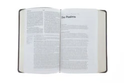 ESV, Gospel Transformation Bible-Trail Design 8 ESV, Gospel Transformation Bible-Trail Design -Book Store 204 0134 3