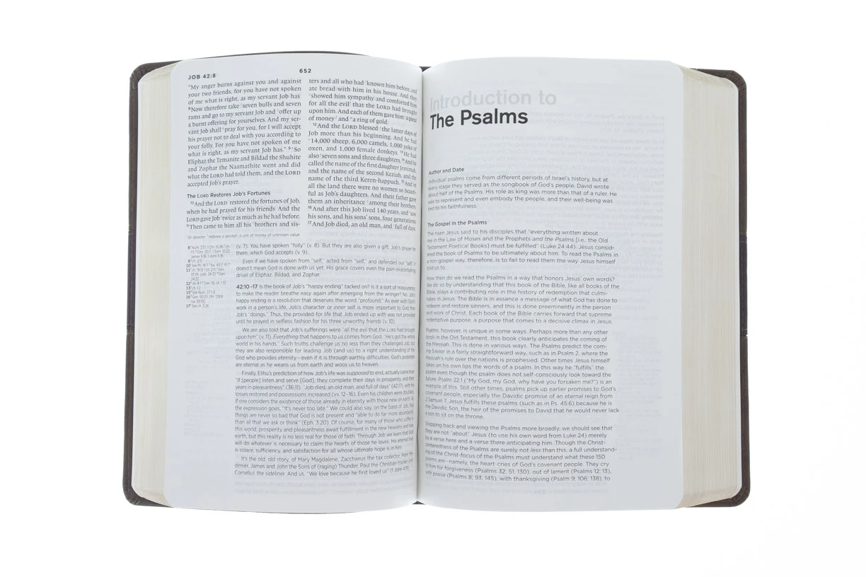 ESV, Gospel Transformation Bible-Trail Design 3 ESV, Gospel Transformation Bible-Trail Design - Image 3