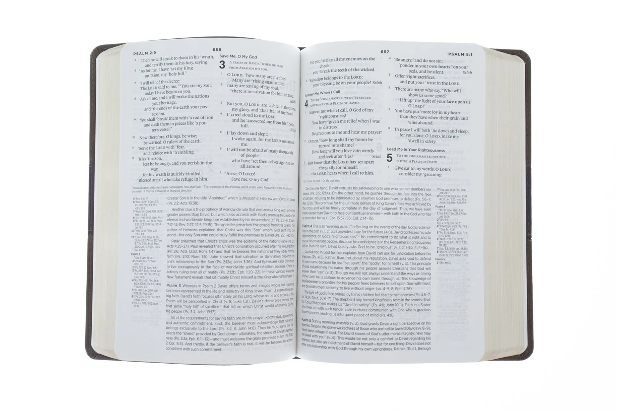 ESV, Gospel Transformation Bible-Trail Design 4 ESV, Gospel Transformation Bible-Trail Design - Image 4