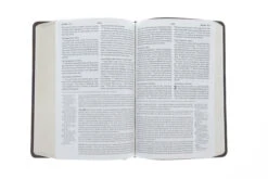 ESV, Gospel Transformation Bible-Trail Design 11 ESV, Gospel Transformation Bible-Trail Design -Book Store 204 0134 6