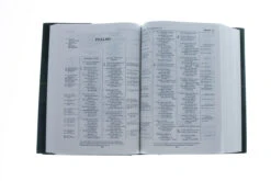 ESV, Thompson Chain-Reference Bible, Hardcover, Red Letter -Book Store 204 0136 4