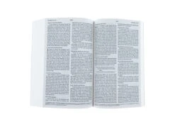 ESV New Testament -Value Edition -Brown Bonded Leather -Out Of Print -Book Store 204 0157 4