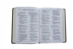 ESV Giant Print Bible (Trutone, Deep Brown) -Book Store 204 0194 3