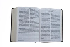 ESV Giant Print Bible (Trutone, Deep Brown) -Book Store 204 0194 4
