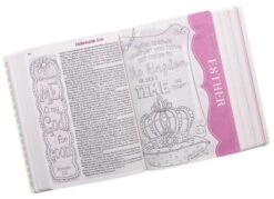 ESV Pink Floral My Creative Journalling Bible For Girls -Book Store 204 0197 4