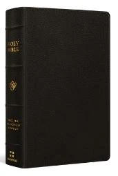 ESV Large Print Personal Size Bible
