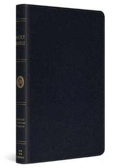 ESV Large Print Thinline Bible (Black)