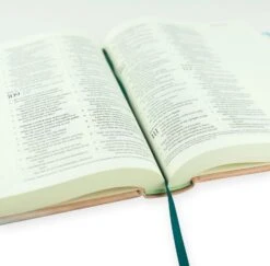 ESV Journaling Bible – Captiva Theme -Book Store 204 0209 3