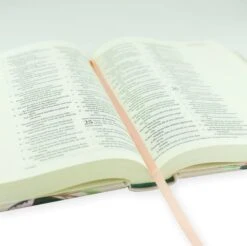 ESV Journaling Bible – Paris Theme -Book Store 204 0210 4