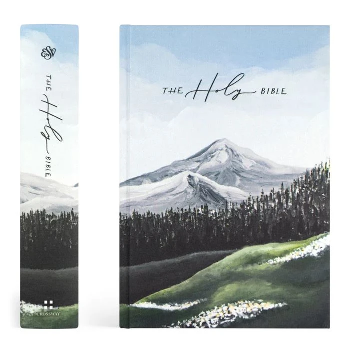 ESV Large Print Journaling Bible – Salzburg Theme 3 ESV Large Print Journaling Bible – Salzburg Theme - Image 3