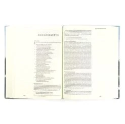 ESV Large Print Journaling Bible – Salzburg Theme 10 ESV Large Print Journaling Bible – Salzburg Theme -Book Store 204 0213 4