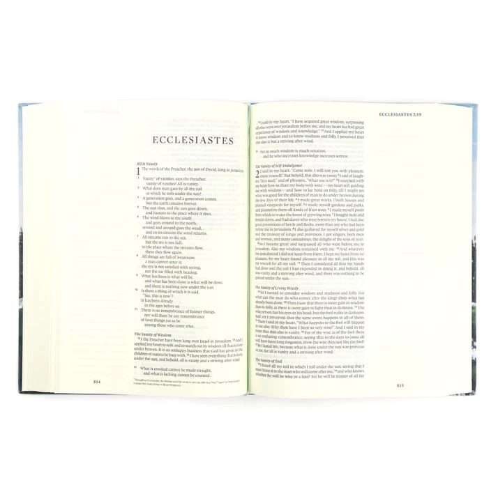 ESV Large Print Journaling Bible – Salzburg Theme 5 ESV Large Print Journaling Bible – Salzburg Theme - Image 5