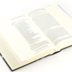 ESV Large Print Journaling Bible – Salzburg Theme 11 ESV Large Print Journaling Bible – Salzburg Theme -Book Store 204 0213 5