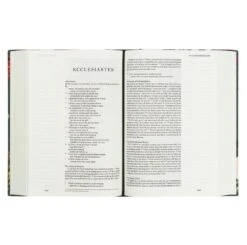 ESV Large Print Journaling Bible – Hollis Theme -Book Store 204 0215 4