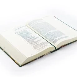 ESV Large Print Journaling Bible – Hollis Theme -Book Store 204 0215 5