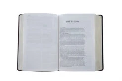 ESV Gospel Transformation Study Bible TruTone, Burgundy/Red, Imitation Leather -Book Store 204 0461 2