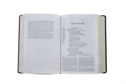 ESV Gospel Transformation Study Bible TruTone, Burgundy/Red, Imitation Leather -Book Store 204 0461 3