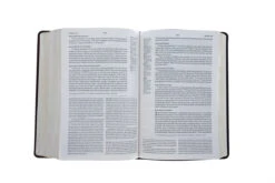 ESV Gospel Transformation Study Bible TruTone, Burgundy/Red, Imitation Leather -Book Store 204 0461 4