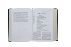 ESV Gospel Transformation Study Bible-Deep Brown TruTone -Book Store 204 0462 4