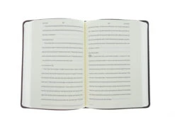 ESV Journaling New Testament- Burgundy/Red Timeless Design TruTone -Book Store 204 0465 4