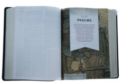 KJV Study Bible, Full-Color, Navy Leathertouch -Book Store 206 0172 4