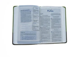 KJV Study Bible For Boys-Olive/Brown LeatherTouch 7 KJV Study Bible For Boys-Olive/Brown LeatherTouch -Book Store 206 0426 3