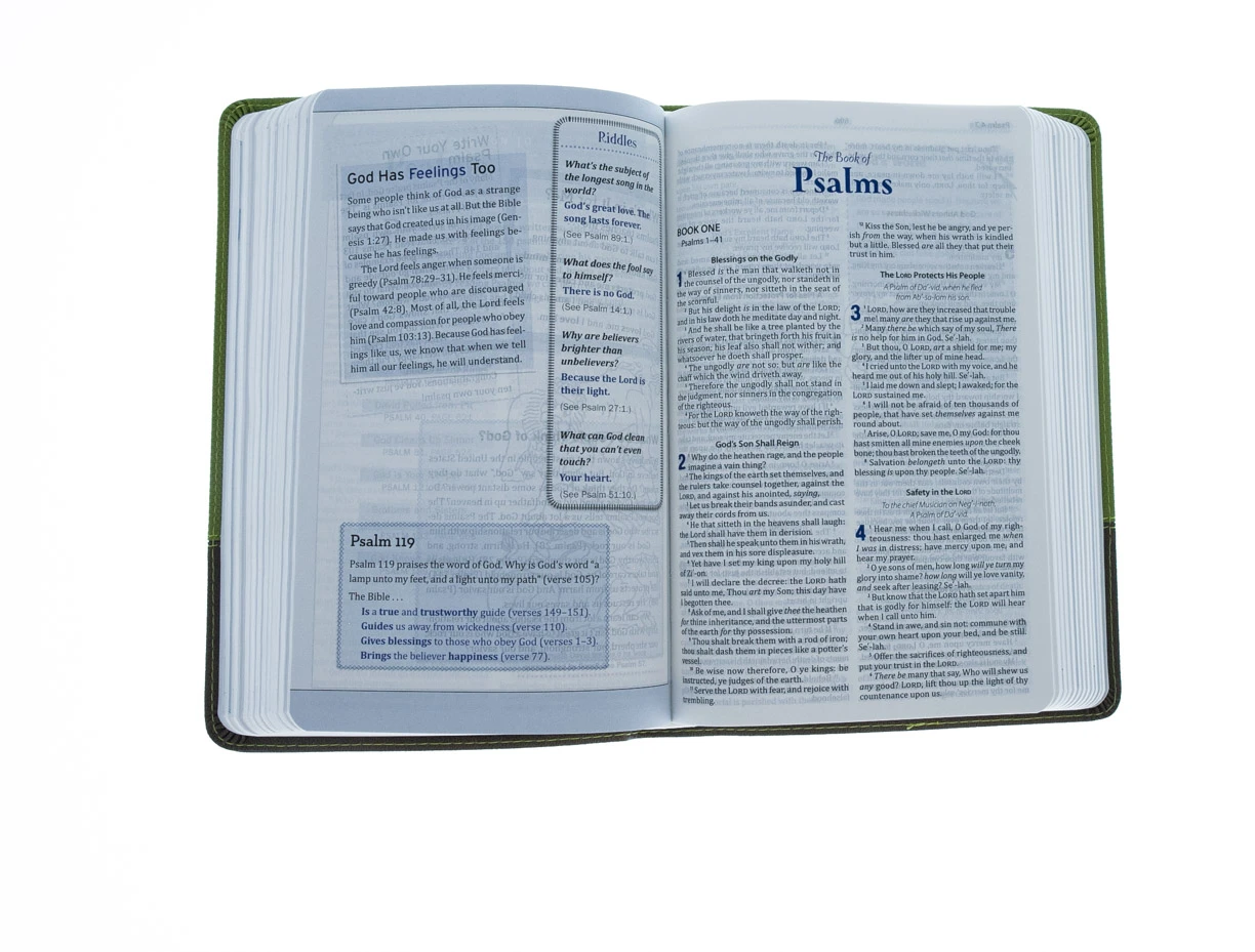 KJV Study Bible For Boys-Olive/Brown LeatherTouch 3 KJV Study Bible For Boys-Olive/Brown LeatherTouch - Image 3