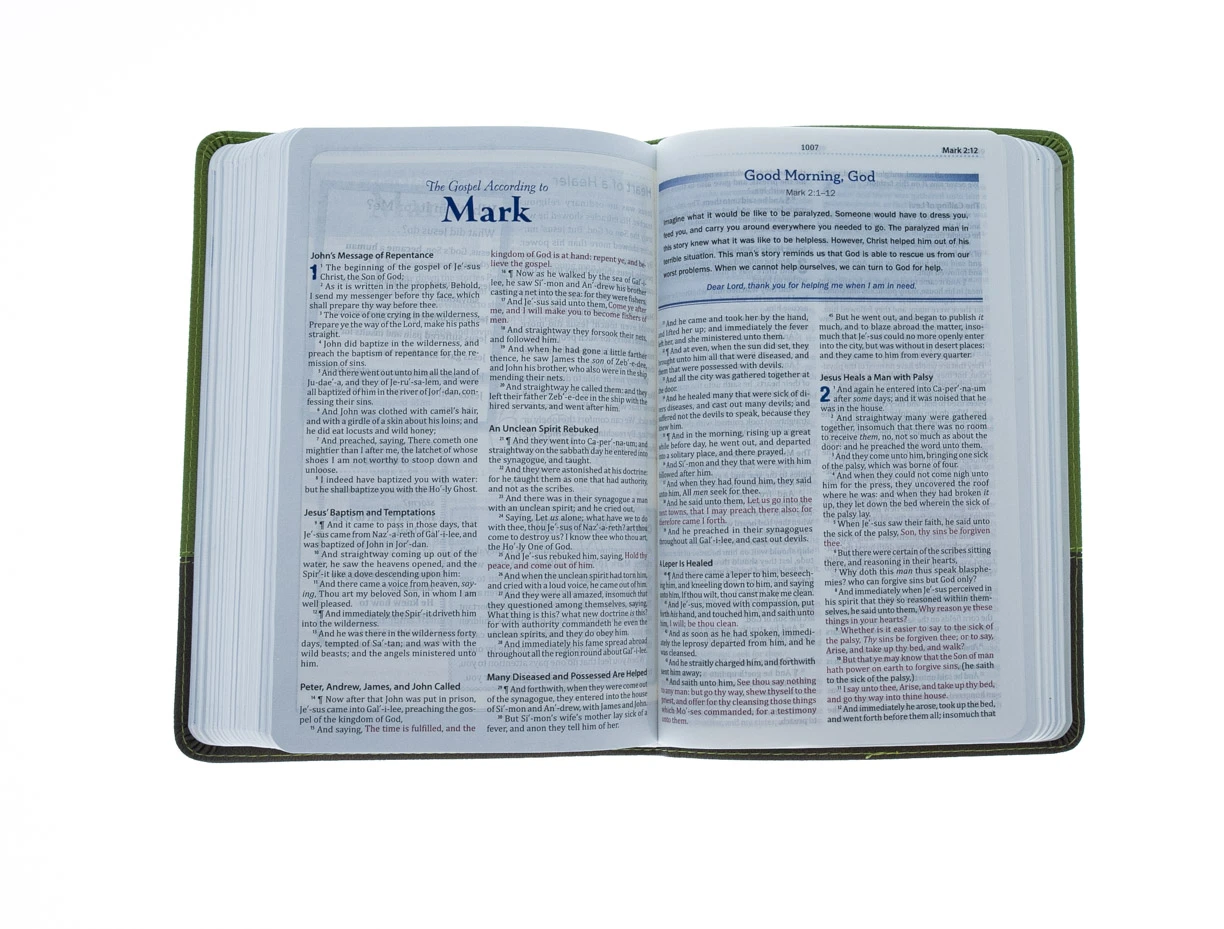 KJV Study Bible For Boys-Olive/Brown LeatherTouch 4 KJV Study Bible For Boys-Olive/Brown LeatherTouch - Image 4