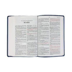 KJV, Value Thinline Bible, Large Print, Leathersoft, Blue -Book Store 206 0794 2 1