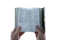 KJV Compact Bible Olive Petals -Book Store 206 0865 2