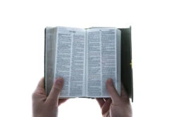 KJV Compact Bible Olive Petals -Book Store 206 0865 3