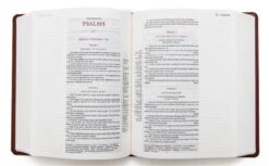 KJV Journal Reference Edition Bible – Brown -Book Store 206 0870 2 1