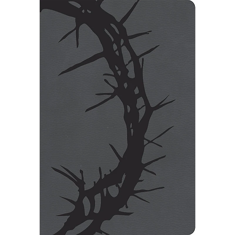 CSB Giant Print Reference Bible, Charcoal Leathertouch, Indexed 1 CSB Giant Print Reference Bible, Charcoal Leathertouch, Indexed