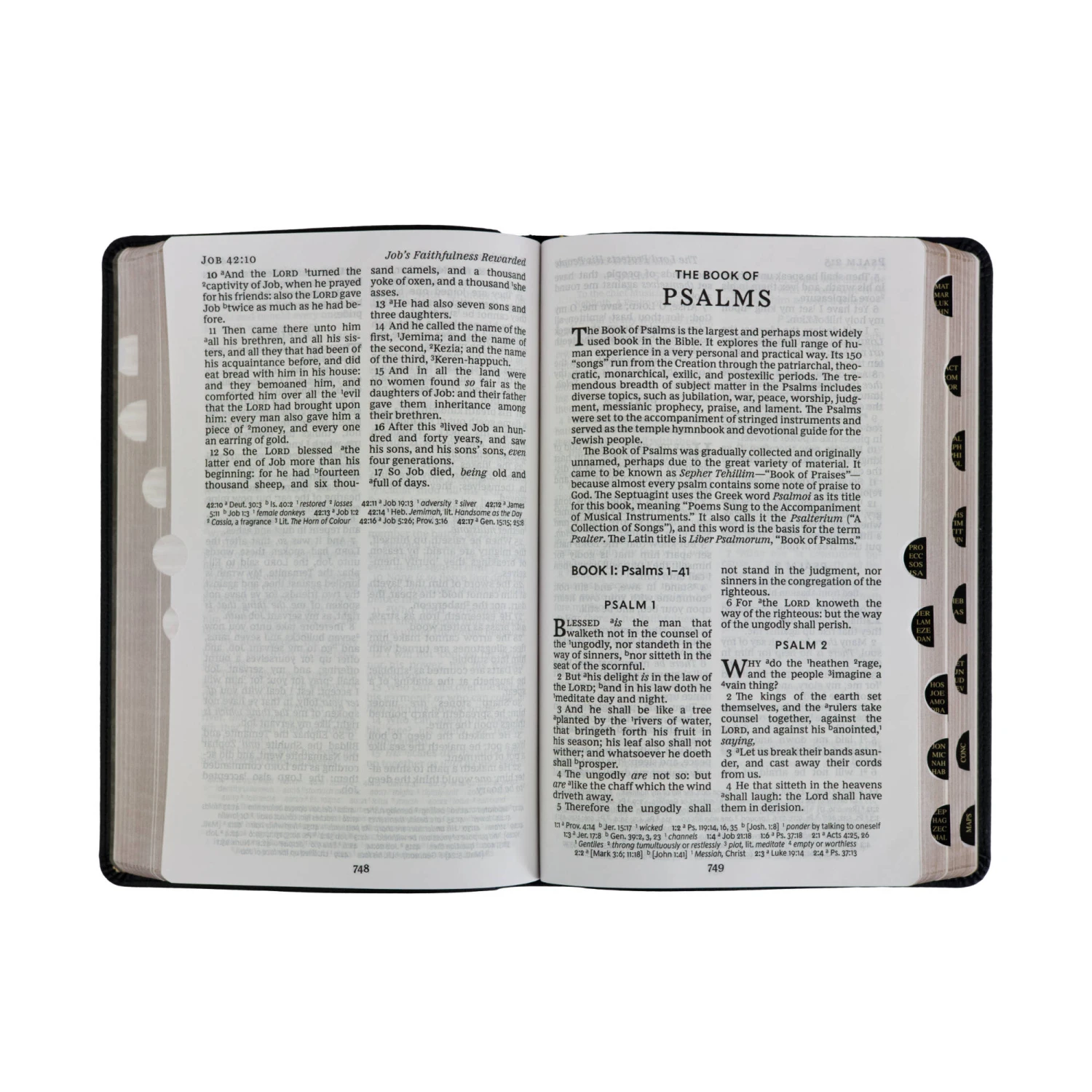 KJV Large Print Reference Bible, Vintage Series Thumb Indexed – Black 4 KJV Large Print Reference Bible, Vintage Series Thumb Indexed – Black - Image 4
