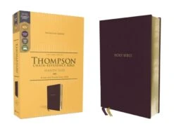 KJV Thompson Chain-Reference Handy Size Bible – Burgundy