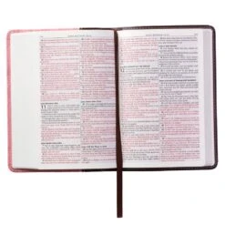 KJV Burgundy And Pink Faux Leather Compact Bible -Book Store 206 0990 2