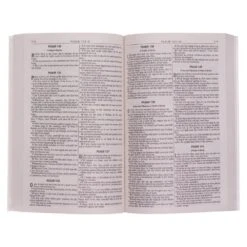 KJV Gold Olive Branch Softcover Outreach Bible -Book Store 206 0995 2