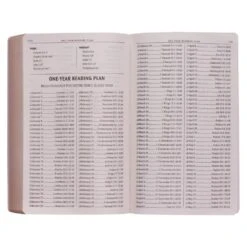 KJV Gold Olive Branch Softcover Outreach Bible -Book Store 206 0995 3