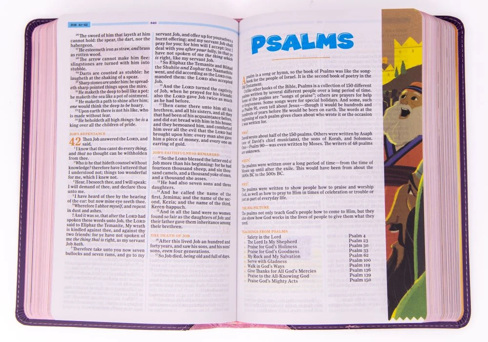 KJV One Big Story Bible, Pink/Purple Leathertouch -One Big Story 2 KJV One Big Story Bible, Pink/Purple Leathertouch -One Big Story - Image 2
