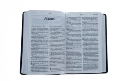 KJV Personal Size Giant Print Bible, LeatherLike, Black/Onyx -Book Store 206 2130 3