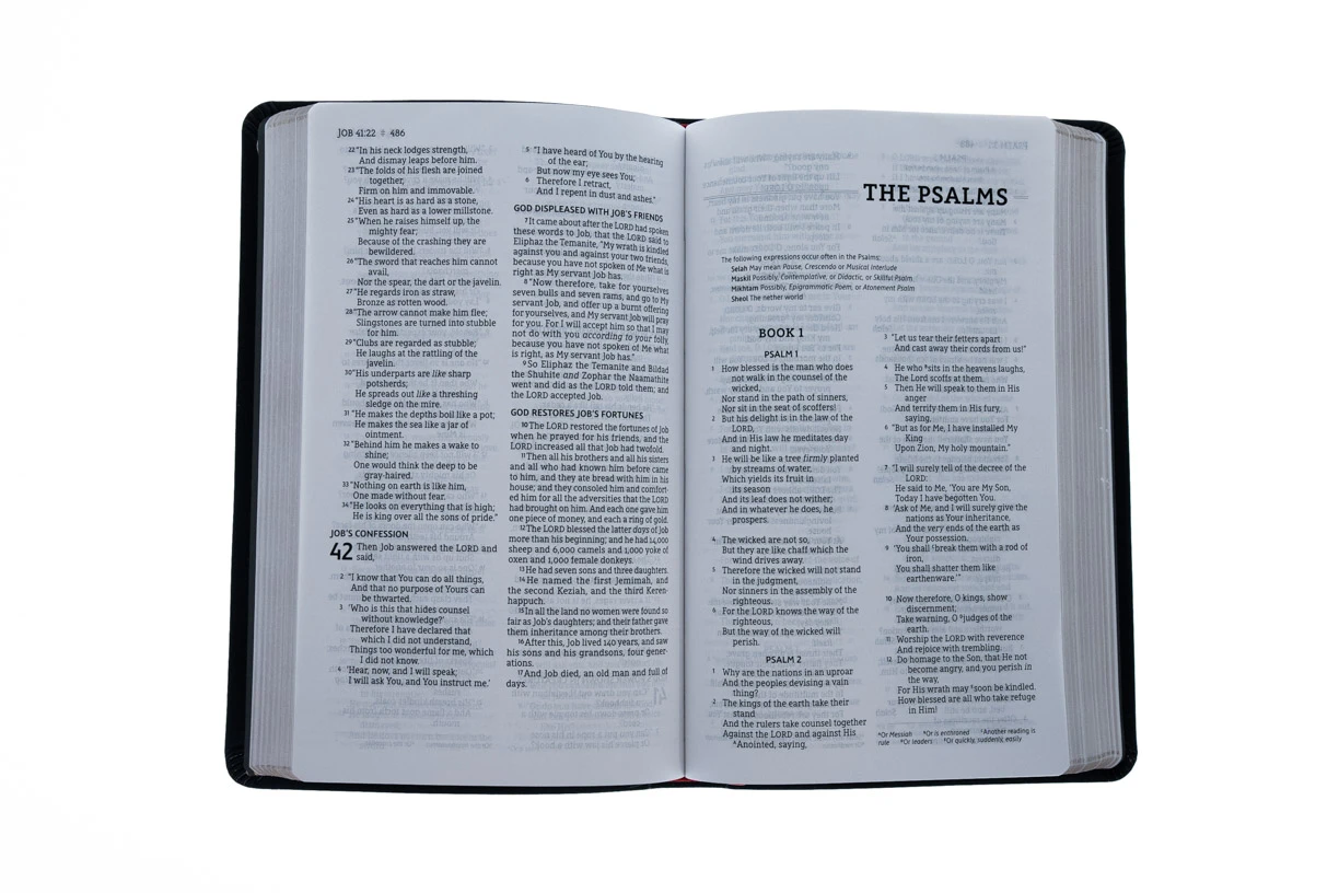 NASB, Thinline Bible, Bonded Leather, Black, Red Letter Edition 3 NASB, Thinline Bible, Bonded Leather, Black, Red Letter Edition - Image 3