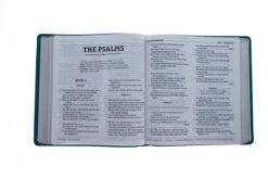 NASB 1995 XL Bible, Comfort Print–Soft Leather-look, Teal -Book Store 208 0058 3