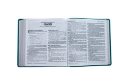 NASB 1995 XL Bible, Comfort Print–Soft Leather-look, Teal -Book Store 208 0058 4