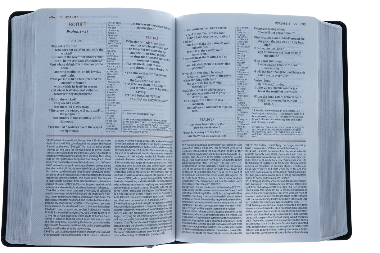 NIV Grace And Truth Study Bible, European Bonded Leather 4 NIV Grace And Truth Study Bible, European Bonded Leather - Image 4